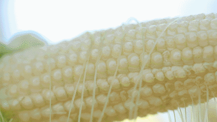 ΢ˮסHζٵĄ(chung)ǘ(bio)(zhn)Nֲ