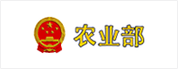 中間件soa信息整合
