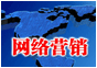 網(wǎng)絡(luò)營(yíng)銷 網(wǎng)絡(luò)營(yíng)銷